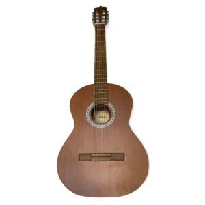 گیتار پارسی مدل p40