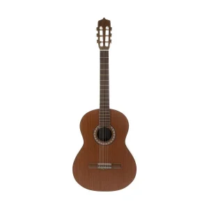 گیتار کلاسیک پارسی مدل m6