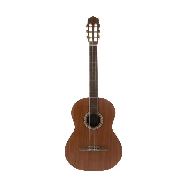 گیتار کلاسیک پارسی مدل m6